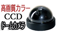 高画質カラーCCDドームカメラ【SJD-212NAK】